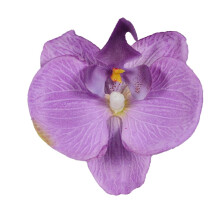 Gearrthóg Gruaige Orchid do Mhná Bláth Saorga 1 phíosa