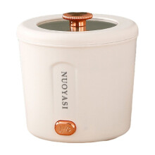 Electric Cooking Pot 450W Portable Ramen Cooker