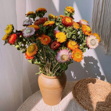 Dried Daisy Flowers Bouquet Natural Home Decoration 20 pcs