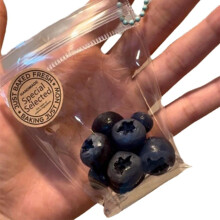 Blueberry squeeze toy stress relief fidget 1 piece