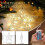 Outdoor Christmas Star Light Warm White LED Lantern Silver 5