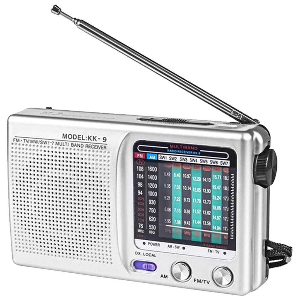 Digital Radio Dual Band Pocket Radio Sw/Am/Fm Lcd Silver 9306268730293