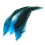 Rooster tail feathers deep blue 50 pcs 3