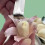 Fish Bone Tweezers Set Garlic Peeler 2 pcs 8