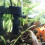 RYGAI 3-in-1 mini aquarium filter pump with oxygenation 4
