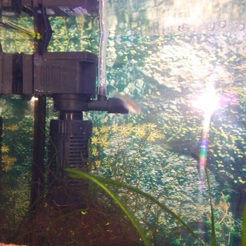 RYGAI 3-in-1 mini aquarium filter pump with oxygenation 2