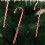 Candy Cane Lawn Stakes Christmas Pathway Markers 6pcs 4