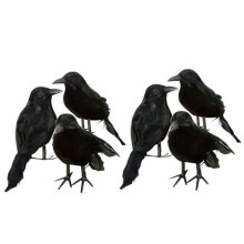 Halloween black feathered crows decoration 6 pcs