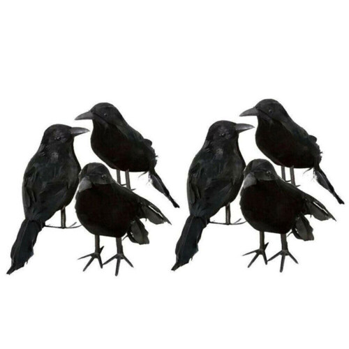 Halloween black feathered crows decoration 6 pcs