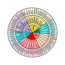 Emotional Wheel Refrigerator Magnet Feelings Chart