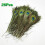 Naturfedern, 25 cm, 25er-Packung 1