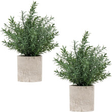 Lot de 2 petits eucalyptus artificiels en pot, pour étagère, bureau, salle de bain, style ferme, table basse (vert sauge)