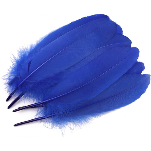 Goose Feathers Multicolor 6-8 inch 100 pcs
