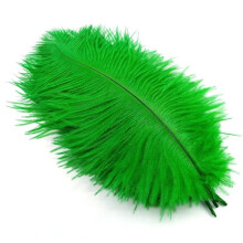 Ostrich Feathers Grass Green 20-25 cm 50 pcs