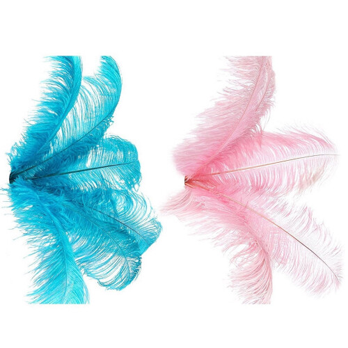 Strutsfjädrar Bröllopsdekoration Blå Rosa 20 st 20-25 cm 1