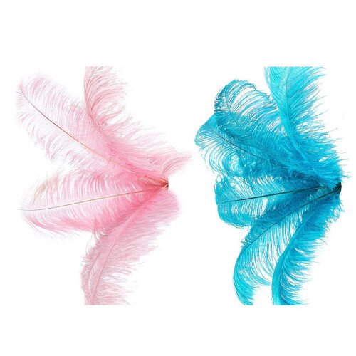 Strutsfjädrar Bröllopsdekoration Blå Rosa 20 st 20-25 cm 2