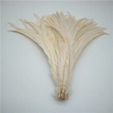 Natural rooster tail feathers beige 50 pcs 35-40 cm