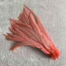 Rooster Tail Feathers Beige and Watermelon Red 50 pcs
