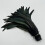 Rooster tail feathers natural beige 50 pcs 25-45 cm 1