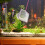 Handheld Fishing Net for Aquarium 5 pcs 3