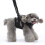 Dog Lift Harness Full Body Support Adjustable Breathable 1
