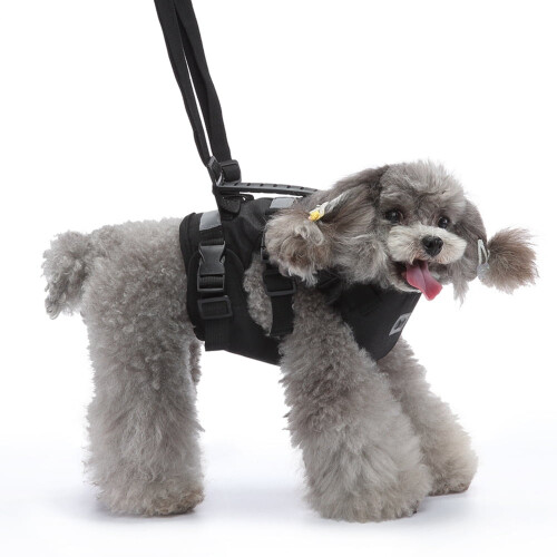 Dog Lift Harness Full Body Support Adjustable Breathable