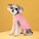 Dog Sweater Christmas Pullover for Small Medium Large Dogs 6