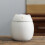 Cat-shaped ceramic storage containers with lids 3-pack 8