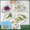 Clear Cutting Plate for Die Cutting Machine8.7x6.1in2 5