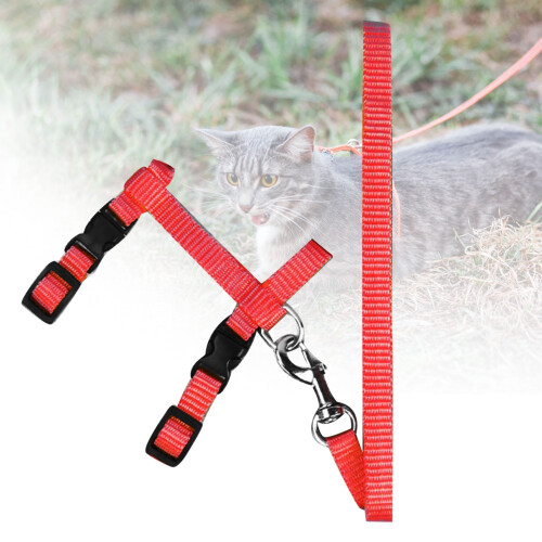 XM Culture adjustable chest strap cat harness leash