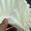 Paper Coffee Filters for 8-12 Cup Makers 100 Count 6