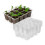 Seedling Trays Set Plastic Germination 10 Pcs 1