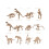 VISALY Dinosaur Skeleton Toys Educational 12Pcs 1