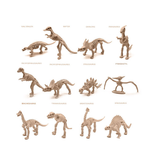 VISALY Dinosaur Skeleton Toys Educational 12Pcs