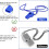 NOGIS plastic whistles with lanyards 7-pack colorful 3