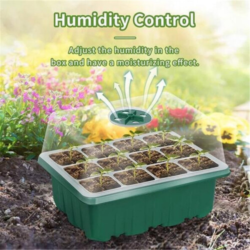 Tainini raising pot with light 5-piece set