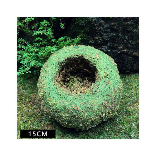 Moss Ball Pot Natural Bonsai Container 1 pc