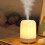 Essential Oil Diffuser Humidifier Quiet Warm Mist 300ml 1