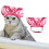 Pet Shower Cap for Ears with Adjustable Strap 1
