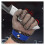 HPPE Cut-Resistant Gloves Level 5 Metal Mesh 1 Pair 2