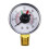 Hayward Pool Filter Pressure Gauge ECX271261 1