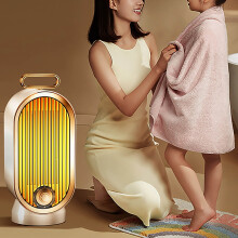 WIZUTIZ portable space heater 800W with water tank