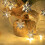 Christmas Light Strip Warm Glow 20 LED IP42 1