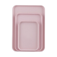 TRIEIY Food-Grade Plastic Serving Tray Large Capacity X1