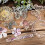 Confezione di carta vintage per scrapbooking e journaling30 3