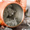 Κούπα Moscow Mule από ανοξείδωτο ατσάλι 530ml 6