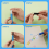 Σετ εργαλείων ξεριζώματος για βινύλιο 5 τεμαχίων 4