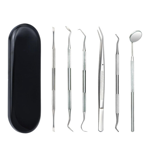 Dental Tools Kit Stainless Steel 6 Pcs with Storage Box