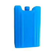 Picnic fruit lunch bag 400ml with ice blocks