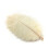 Ostrich Feathers Off White 50 pcs 20-25 cm 1